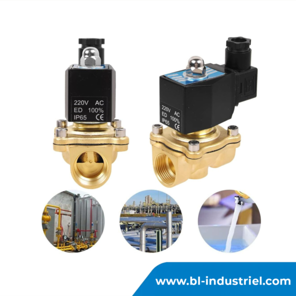 Electrovanne 2w-200-20 (3/4") – Image 2