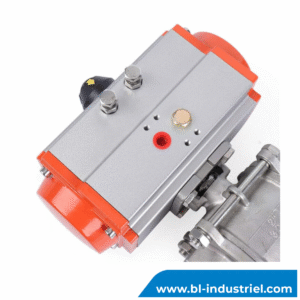 ACTIONNEUR PNEUMATIQUE AVEC0 BOISSEAU SPHERIQUE DN20